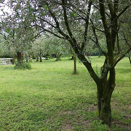 Bed & Breakfast San Giorgio Lazise Locazione Turistica