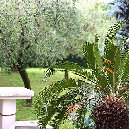 Bed & Breakfast San Giorgio Lazise Locazione Turistica