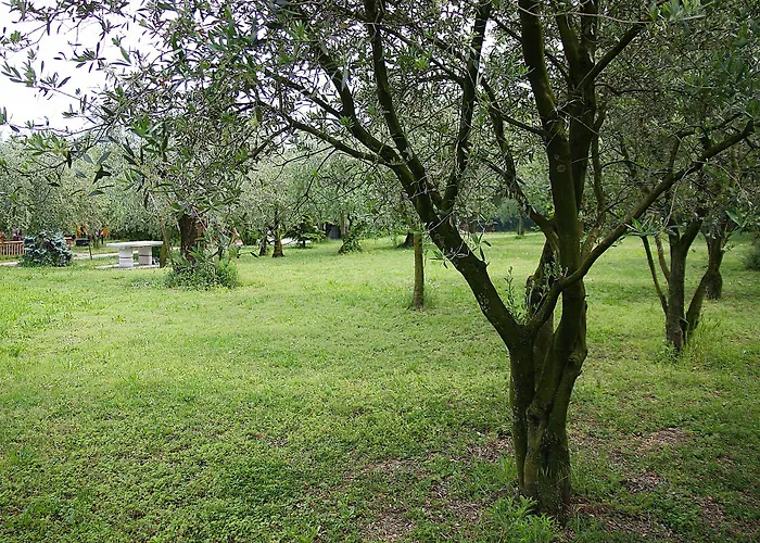 Bed & Breakfast San Giorgio Lazise Locazione Turistica