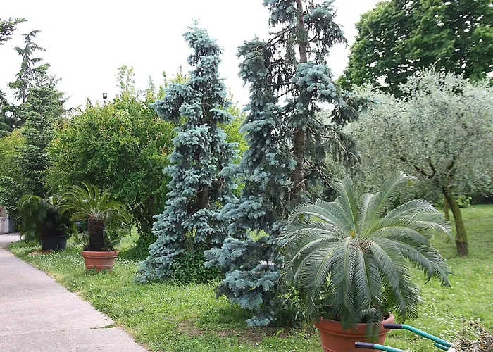 Bed & Breakfast San Giorgio Lazise Locazione Turistica 3*